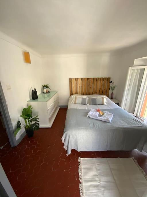 Appartement Typique Nicois En Plein Centre Ville Ница Екстериор снимка